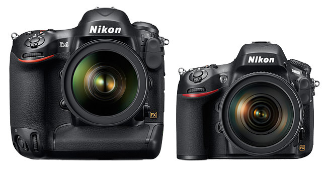 Nikon-D4-vs-D800.jpg